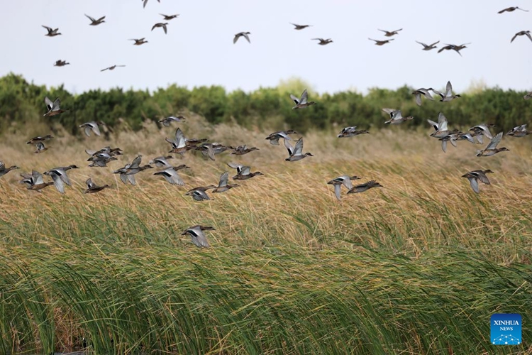 ????????????????????????????????????????????????????????????????????