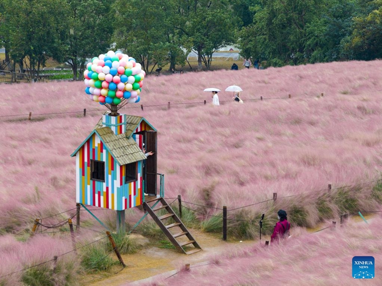 ????????????????????????????????????????????????????????????????????