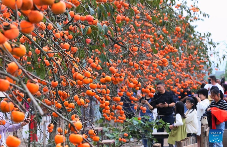 ????????????????????????????????????????????????????????????????????