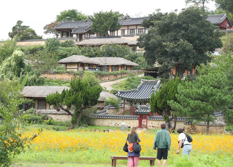 ???????????????? ?????????: ???????????????????????