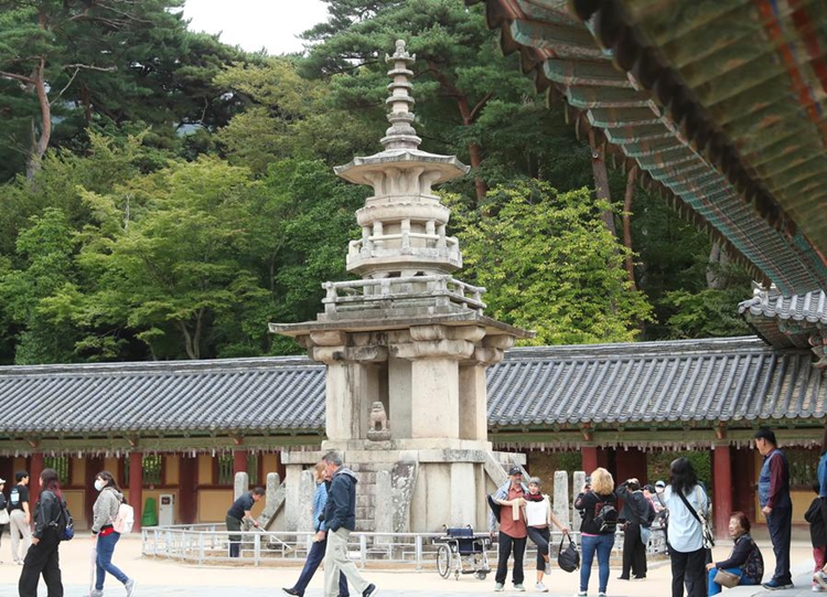 ???????????????? ?????????: ???????????????????????